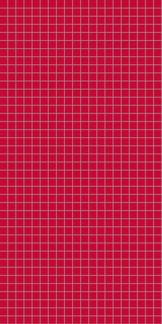 2101M0303 Red
