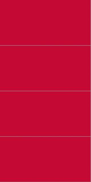 2101M6030 Red