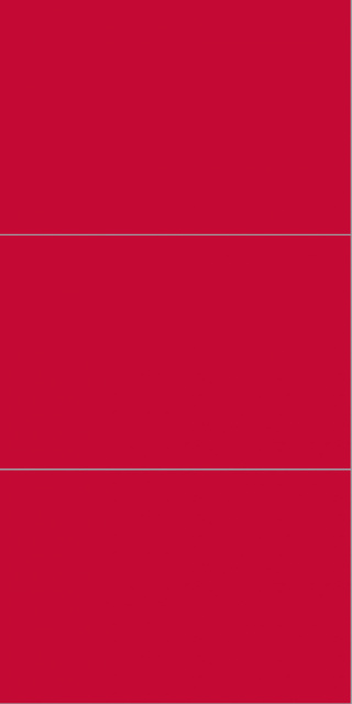 2101M6040 Red