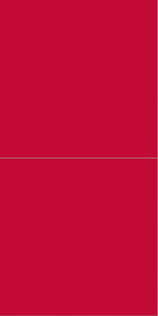 2101M6060 Red