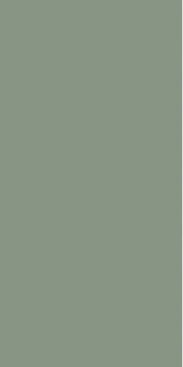 5206-M10 EM Olive Green