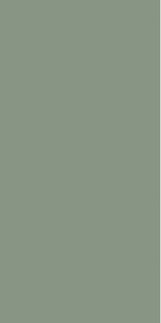 5206M10 Olivegreen