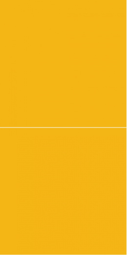 2167-M6060 EM Deep Yellow