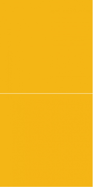 2167M6060 Deep Yellow