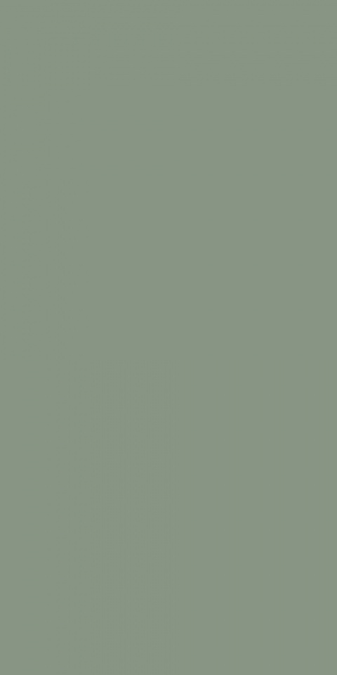 5206L00 Olivegreen