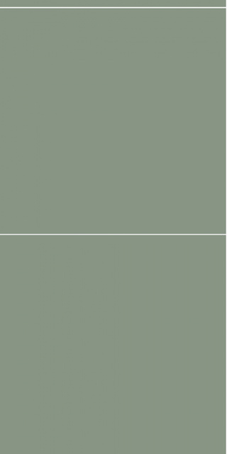 5206LM6060 Olivegreen