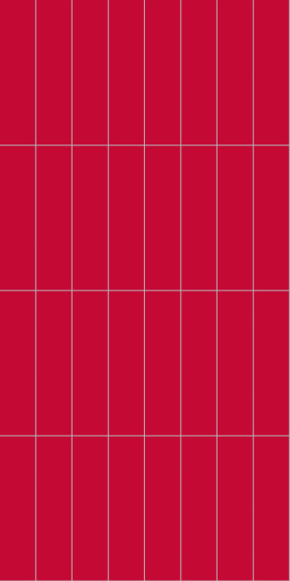 2101M0830 Red