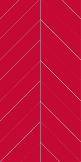 2101M78 Red