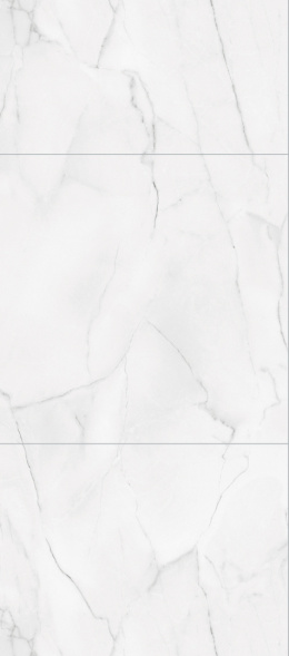 2487TM6060 Bianco Marble