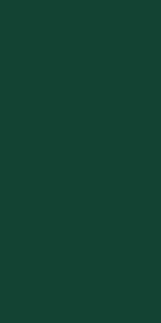 5231M00 Bottle Green