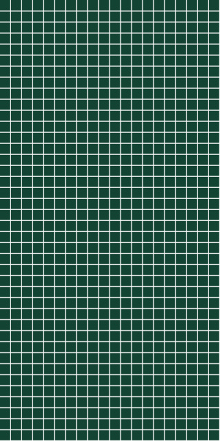 5231M0303 Bottle Green