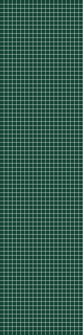 5231M0303 Bottle Green 5231M0303 Bottle Green