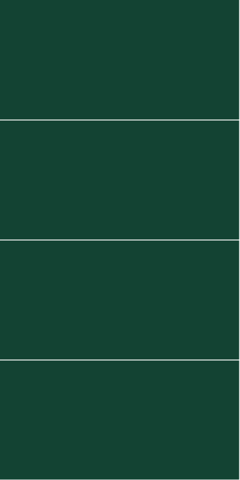 5231M6030 Bottle Green 5231M6030 Bottle Green