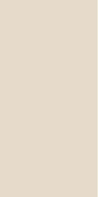 6233M10 Beige