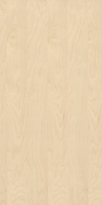 Panel fornirowany - Brzoza 2720 mm