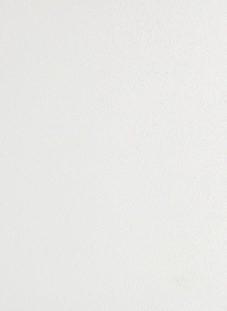 Panel ścienny Forestia OneStep 2600mm 14TFL White Inspiration