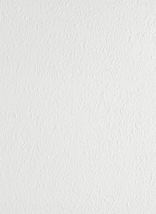 Panel sufitowy Forestia OneStep 1200x600mm 02TF white stucco