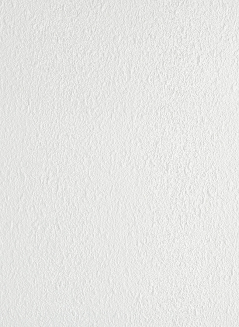 Panel sufitowy Forestia OneStep 1200x600mm 02TF white stucco